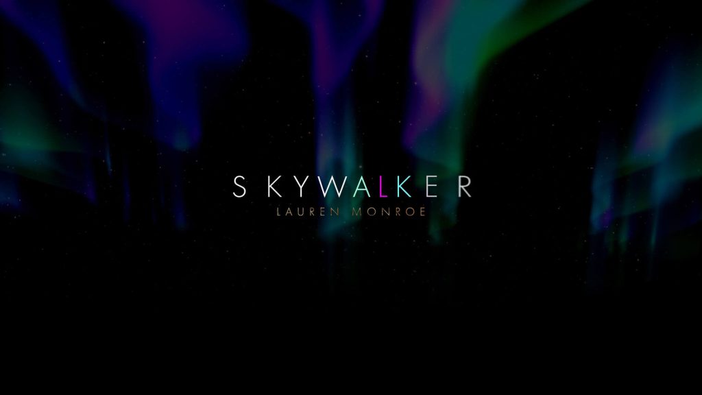 Skywalker Cover Artwork